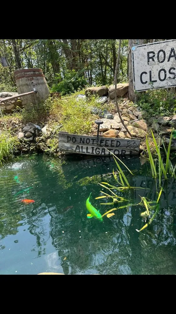 Expert lawn mowing service for beautiful yards across Killeen, TX - Phoenix Landscaping & More