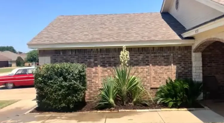 Custom lawn care service with custom design in Killeen, TX by Phoenix Landscaping & More