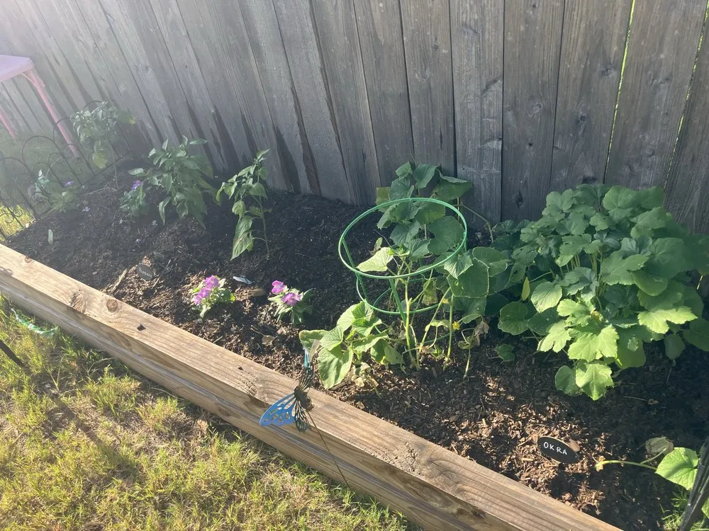 Expert yard cleanup service in Killeen, TX by Phoenix Landscaping & More