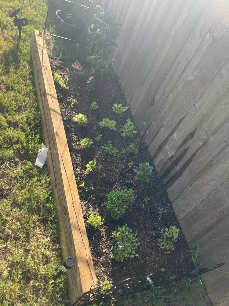 Local yard maintenance near you in Killeen, TX by Phoenix Landscaping & More