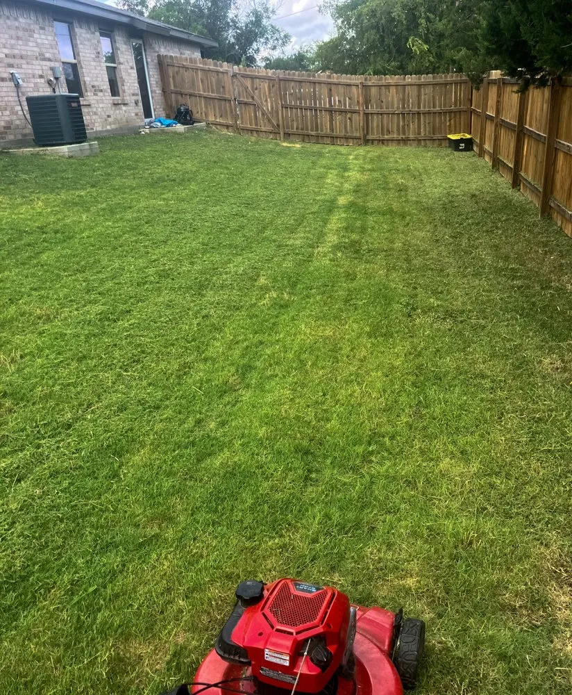 Reliable landscaping services for homes across Killeen, TX - Phoenix Landscaping & More