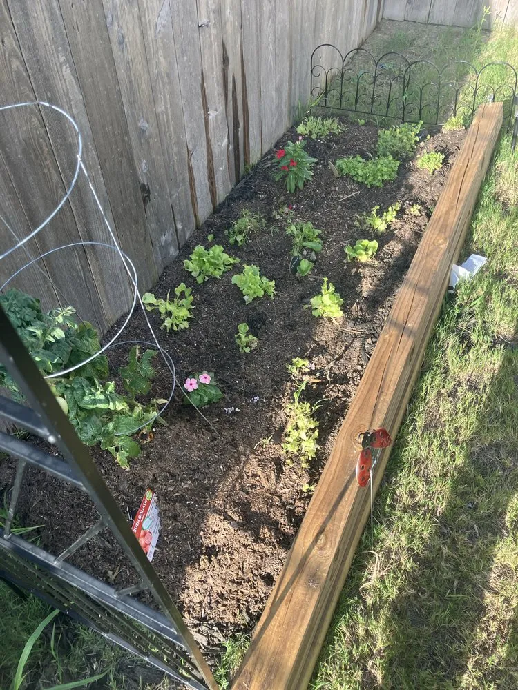 Professional outdoor landscaping with custom design across Killeen, TX - Phoenix Landscaping & More