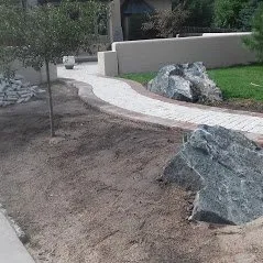Top-rated yard maintenance in Castle Rock, CO - Phoenix Landscaping