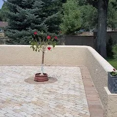 Professional outdoor landscaping for year-round maintenance in Castle Rock, CO by Phoenix Landscaping