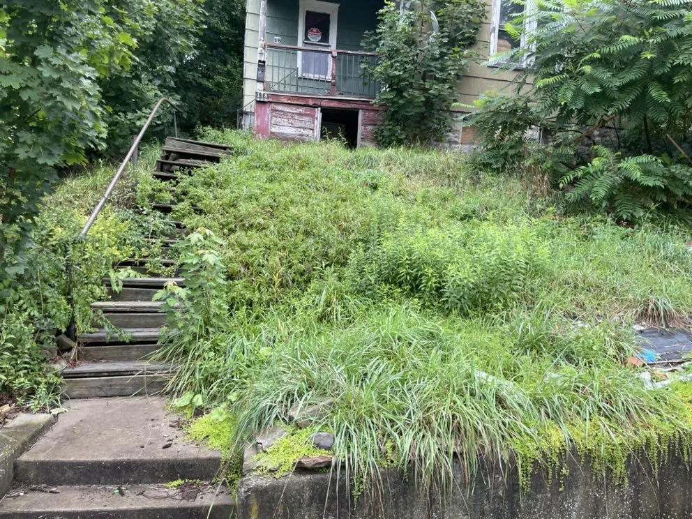 Expert yard cleanup service in Clearfield, PA by Phoenix Lawn and Gutter