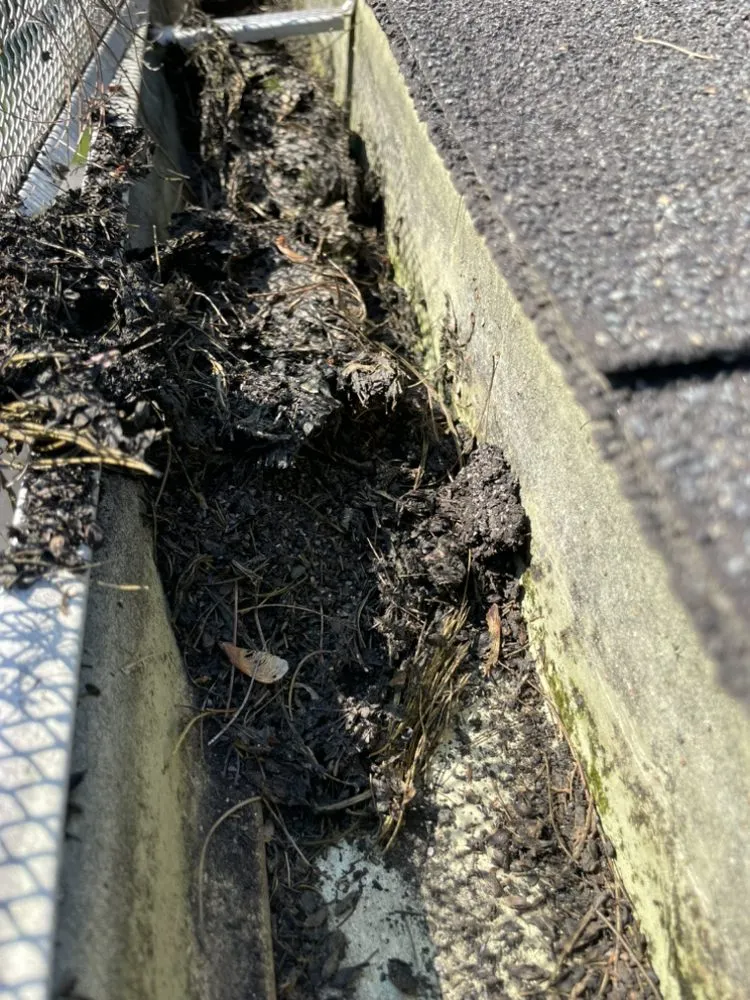 Trusted yard cleanup service for outdoor upgrades in Clearfield, PA by Phoenix Lawn and Gutter