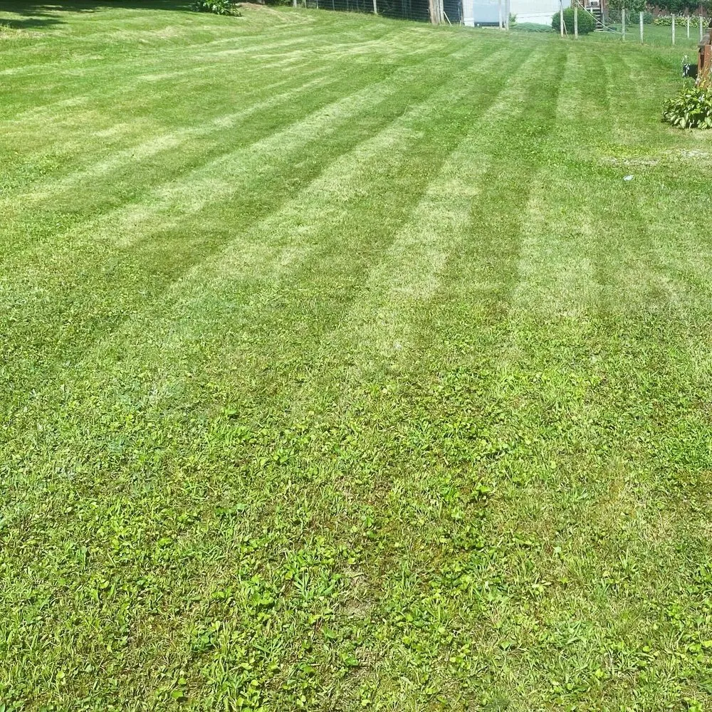 Professional lawn mowing service for outdoor upgrades in Clearfield, PA by Phoenix Lawn and Gutter