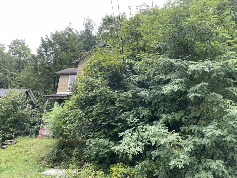 Custom garden landscaping experts serving Clearfield, PA - Phoenix Lawn and Gutter