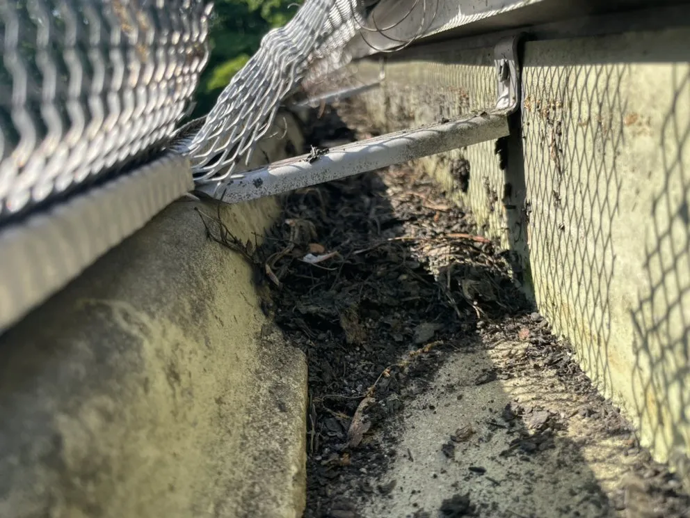 Trusted lawn mowing service in Clearfield, PA - Phoenix Lawn and Gutter