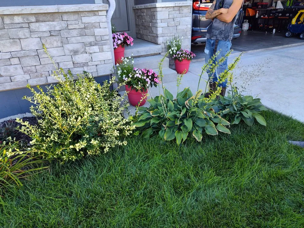 Local landscape design in Independence, MO by Phoenix Lawn and Irrigation