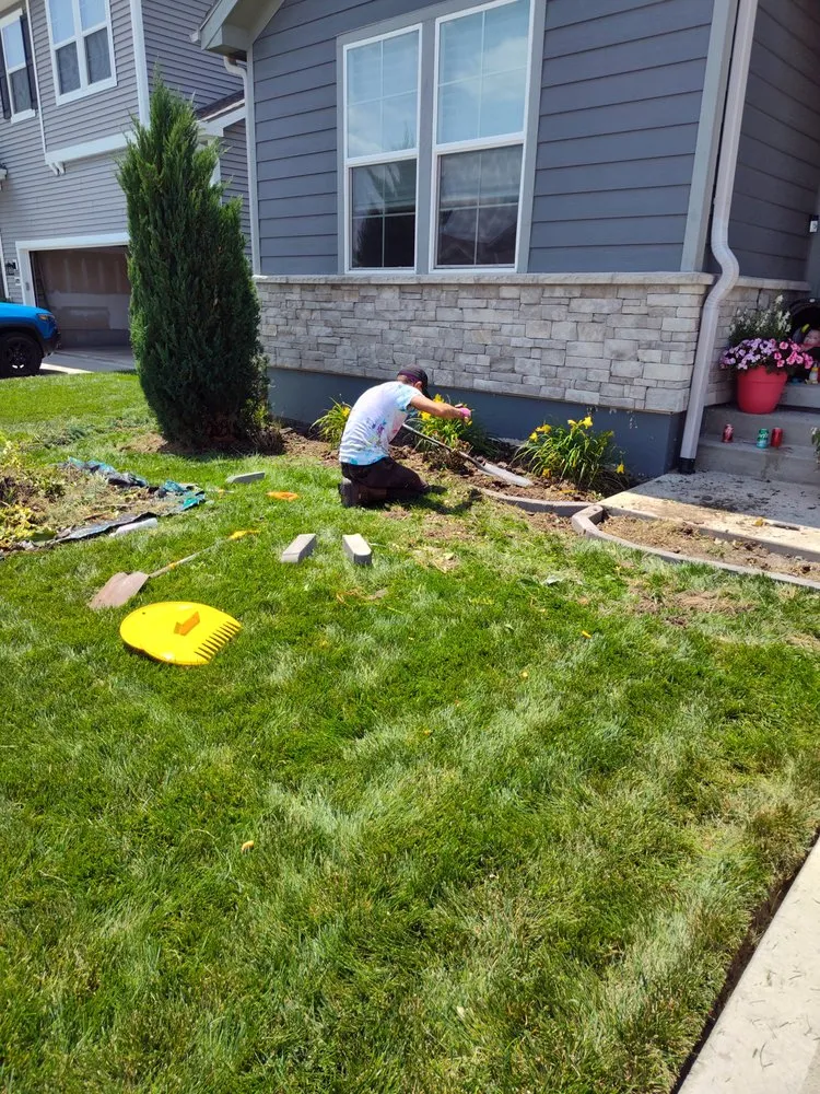 Professional landscape design in Independence, MO by Phoenix Lawn and Irrigation