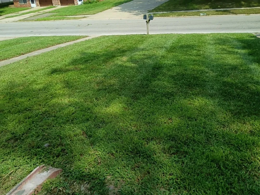 Top-rated landscaping services in Independence, MO - Phoenix Lawn Care