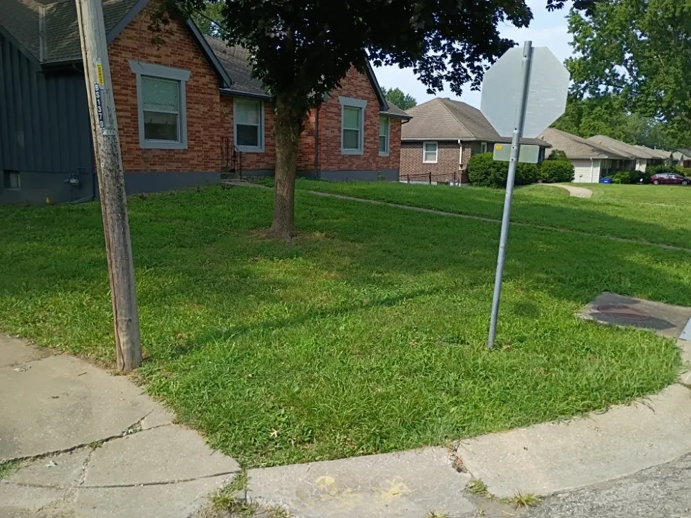 Expert lawn care service in Independence, MO by Phoenix Lawn Care