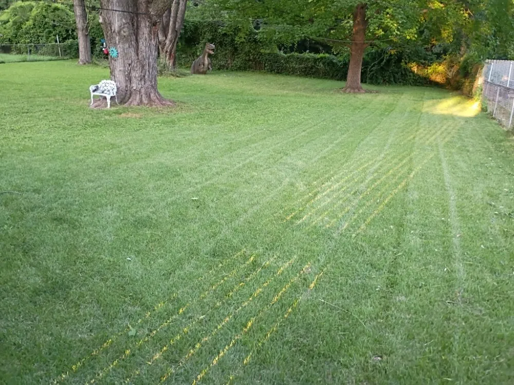 Top-rated landscape design experts serving Independence, MO - Phoenix Lawn Care