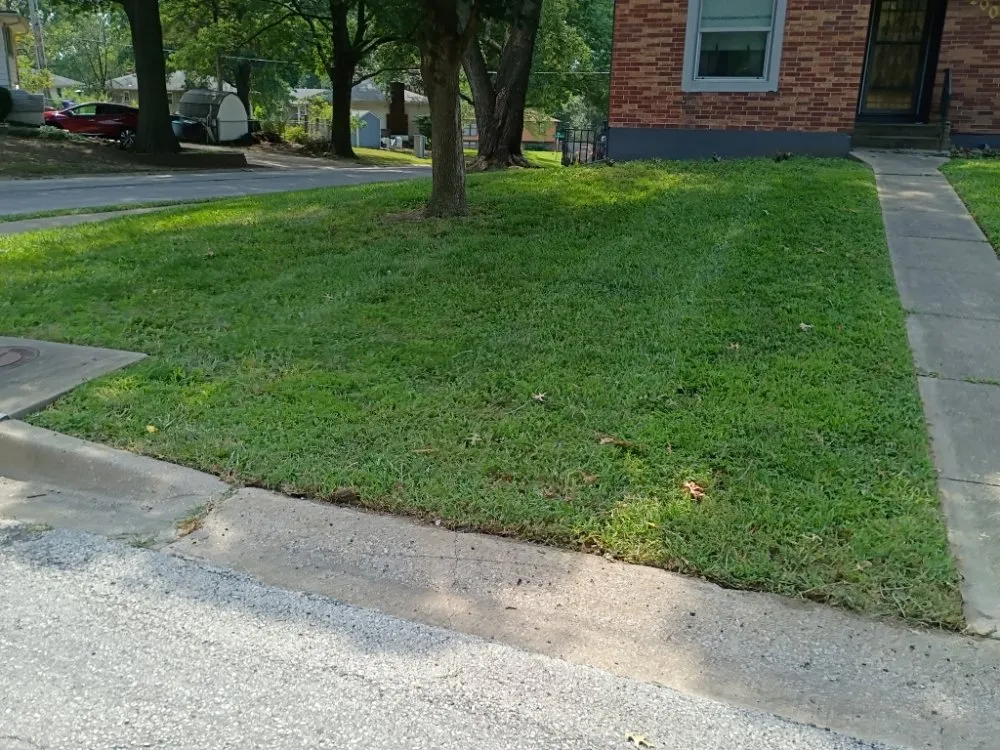 Affordable landscaping services experts serving Independence, MO - Phoenix Lawn Care