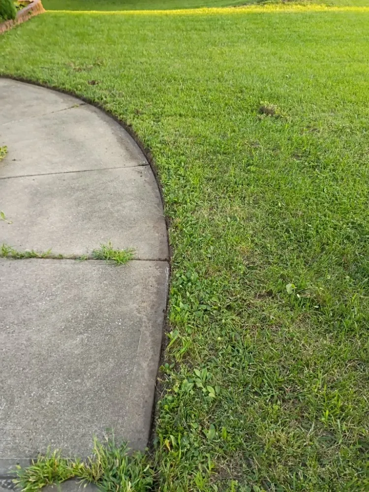 Professional yard cleanup service experts serving Independence, MO - Phoenix Lawn Care