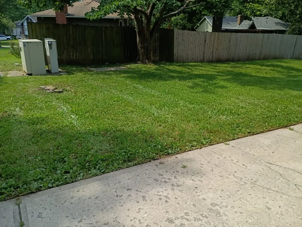 Trusted yard cleanup service for beautiful yards across Independence, MO - Phoenix Lawn Care