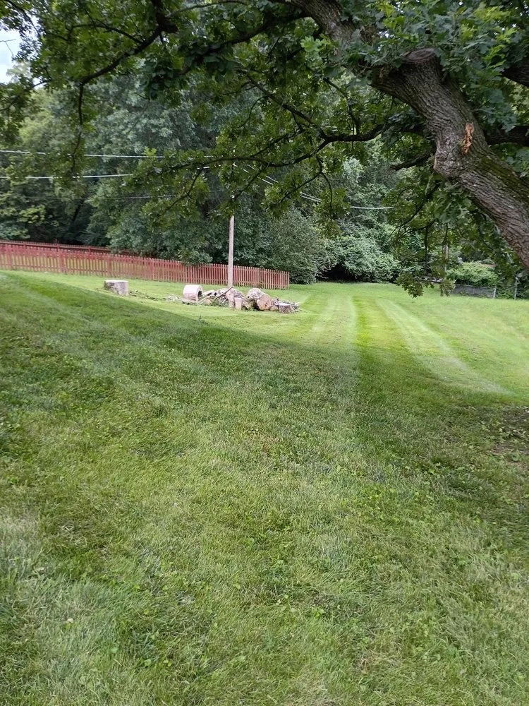 Local outdoor landscaping in Independence, MO by Phoenix Lawn Care