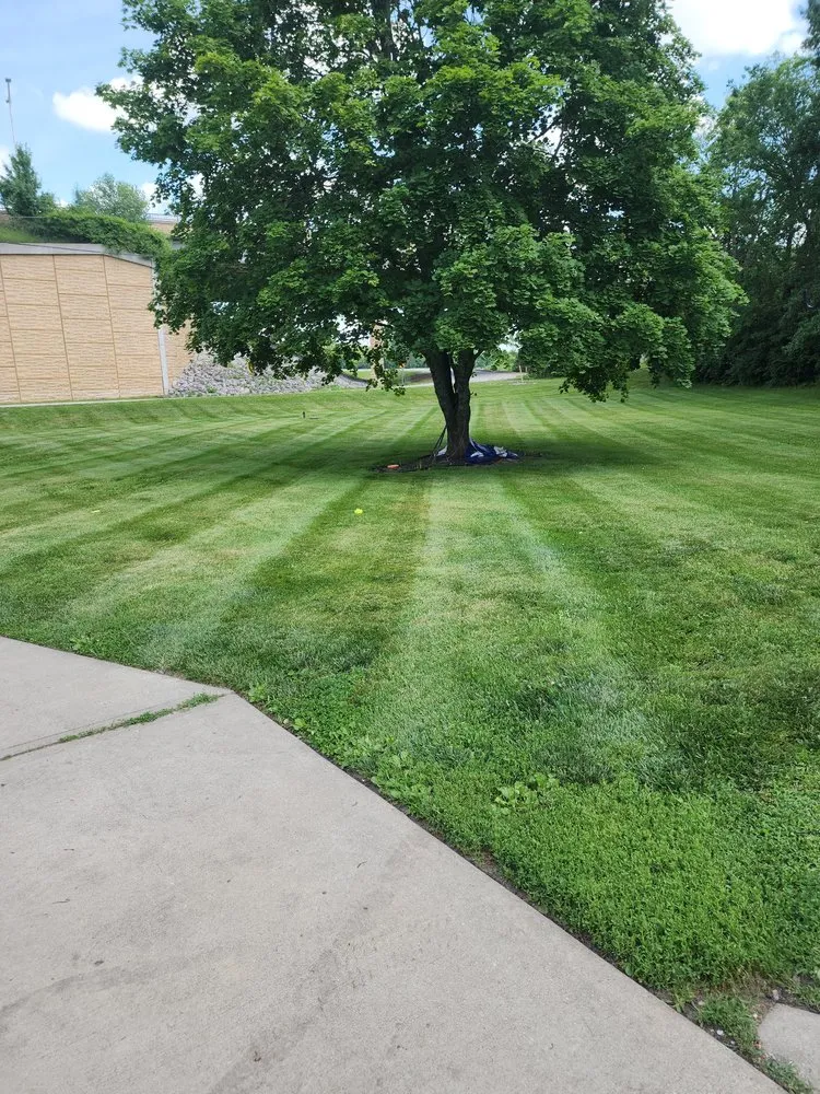 Trusted lawn care service in Independence, MO by Phoenix Lawn Care
