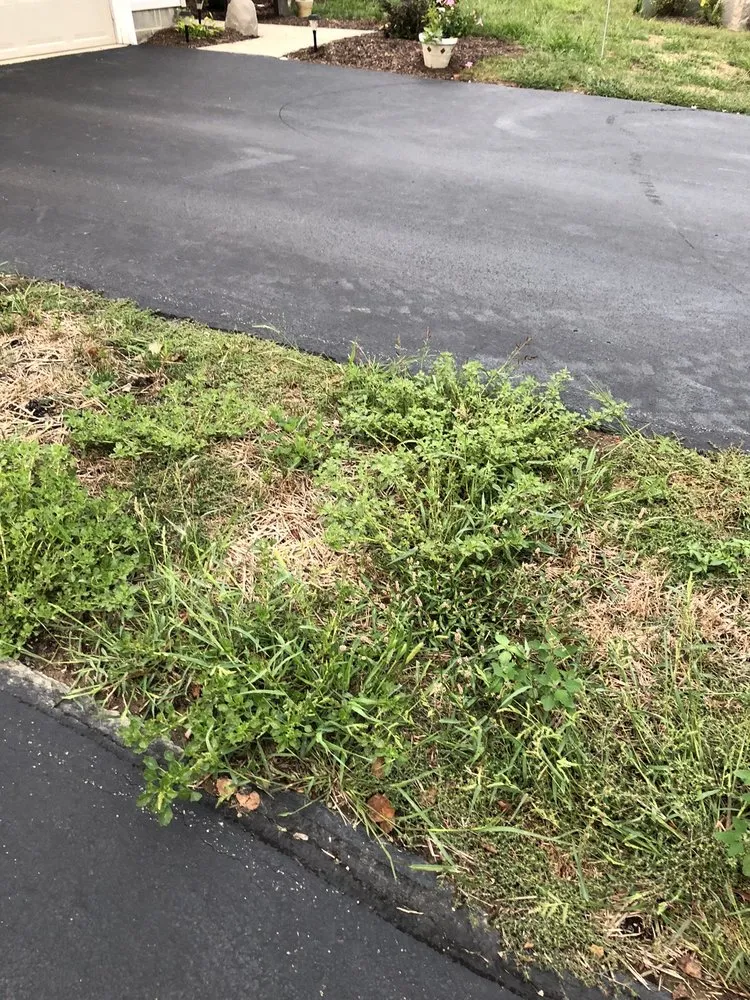 Professional landscape design for residential properties in Howland Township, OH by Phoenix Lawn Maintenance