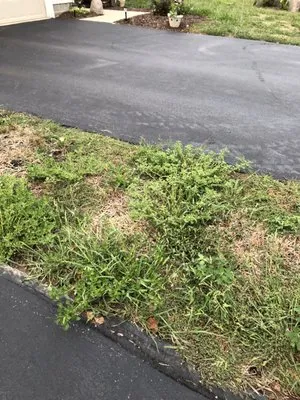 Phoenix Lawn Maintenance