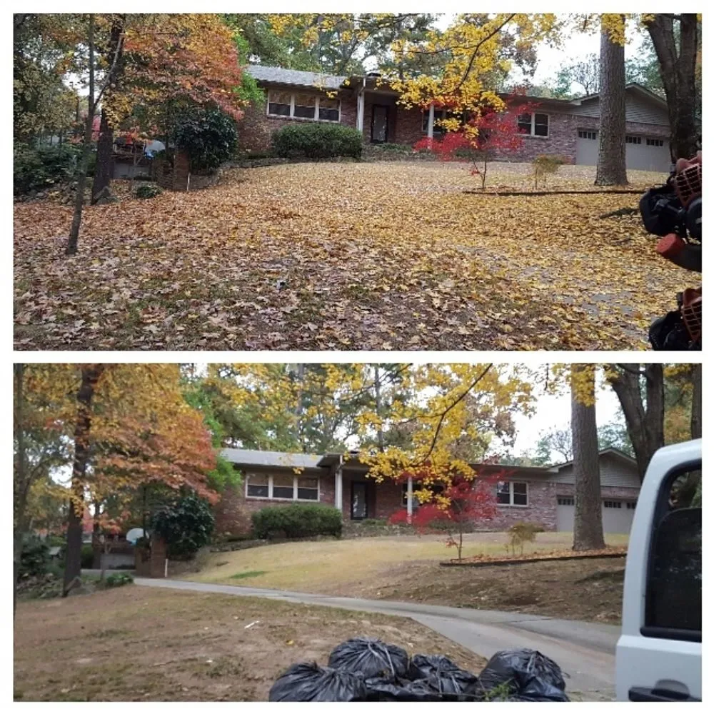 Expert yard cleanup service experts serving Benton Township, AR - Phoenix Lawn Service