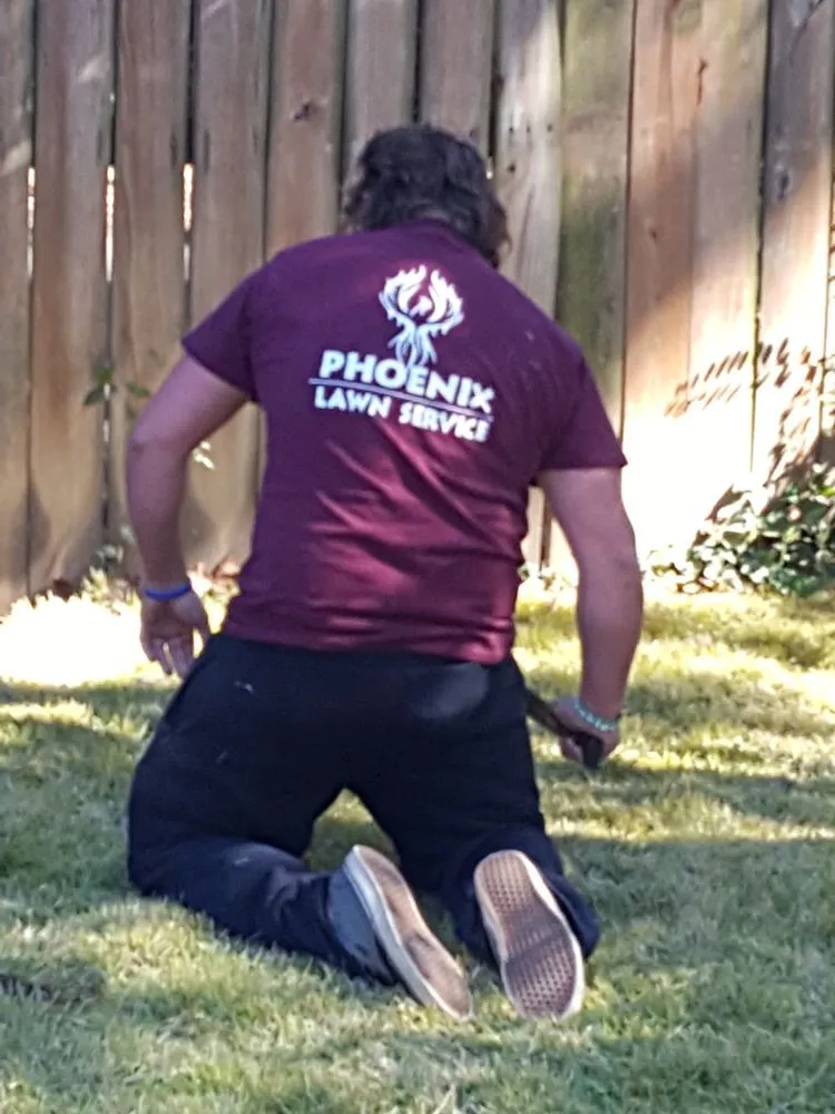 Professional outdoor landscaping for year-round maintenance across Benton Township, AR - Phoenix Lawn Service