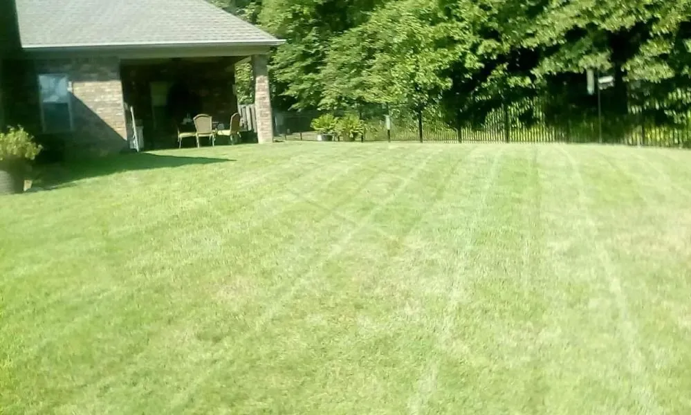 Professional outdoor landscaping experts serving Benton Township, AR - Phoenix Lawn Service