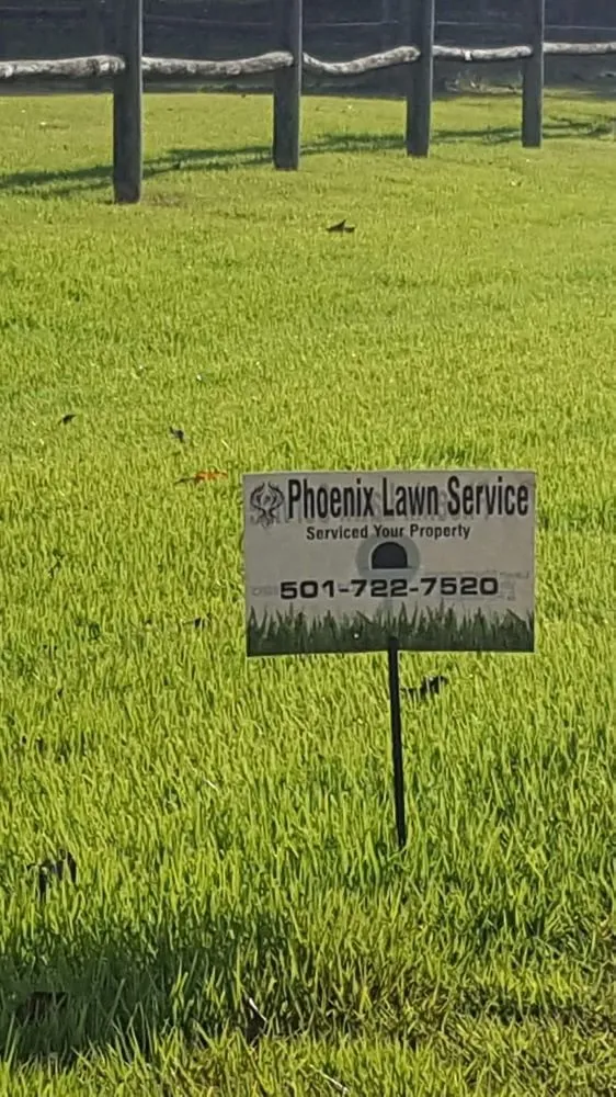Professional lawn care service with custom design across Benton Township, AR - Phoenix Lawn Service