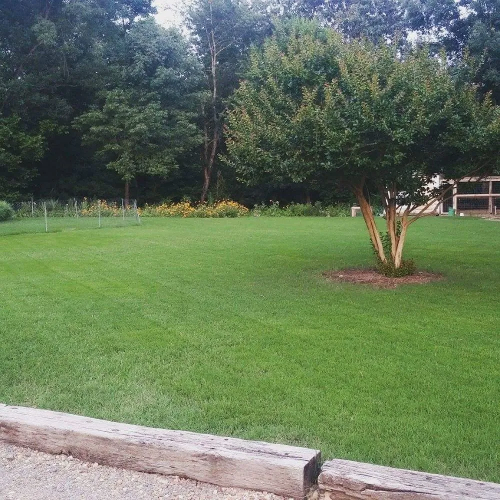 Affordable lawn mowing service in Benton Township, AR by Phoenix Lawn Service