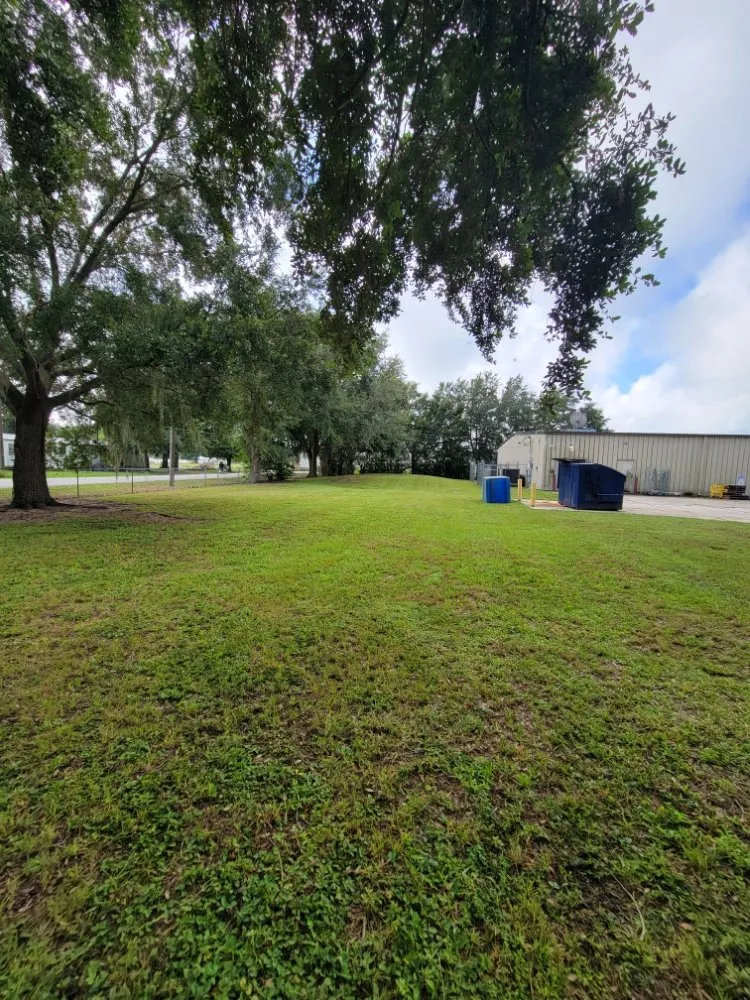 Custom residential landscaping in Winter Haven, FL - Phoenix Lawn Services