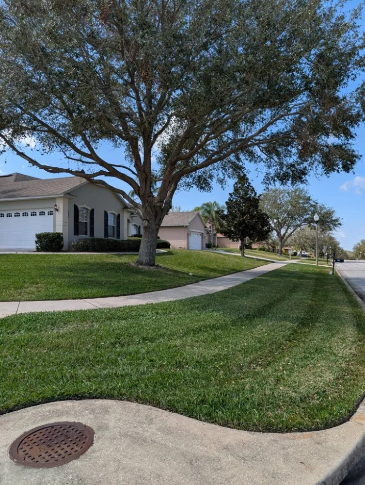 Reliable garden landscaping for beautiful yards in Winter Haven, FL by Phoenix Lawn Services