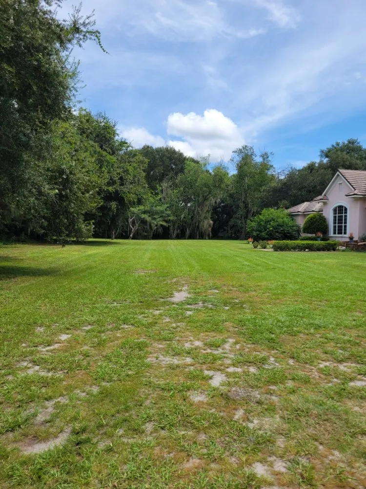 Custom landscaping services in Winter Haven, FL by Phoenix Lawn Services