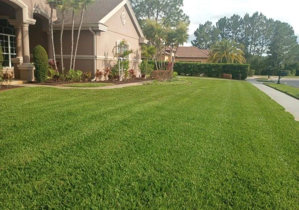 Local lawn care service for year-round maintenance across Winter Haven, FL - Phoenix Lawn Services