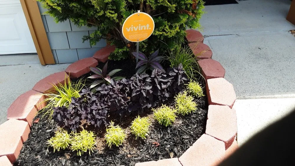 Affordable yard cleanup service near you in Fairburn, GA by Phoenix Painting and Landscaping