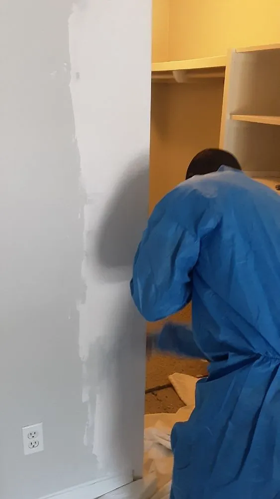 Custom lawn care service for outdoor upgrades in Fairburn, GA by Phoenix Painting and Landscaping