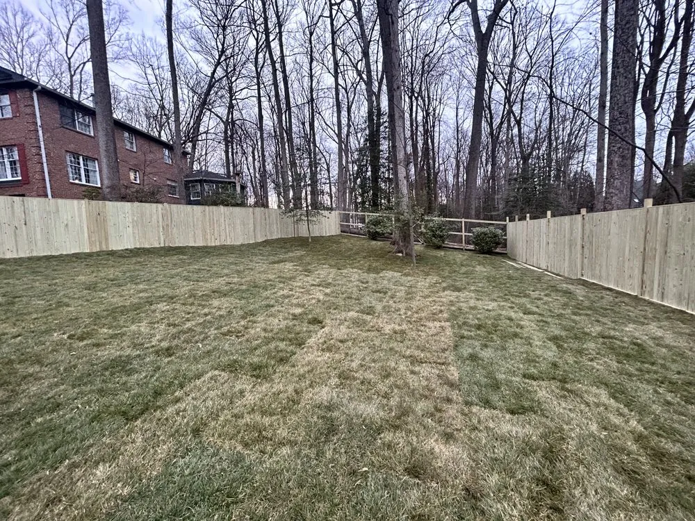 Local yard cleanup service for homes in Falls church, VA by Phoenix Pavers