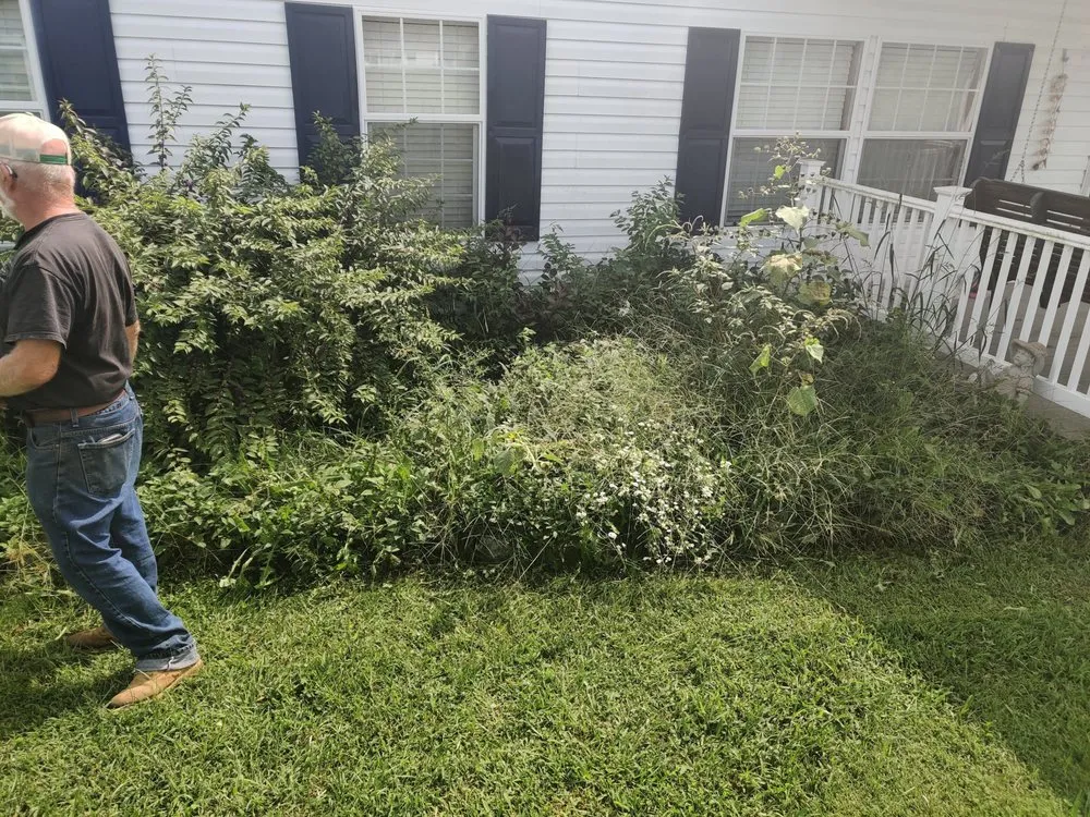 Expert yard maintenance in Taylorsville, KY - Phoenix Property Solutions