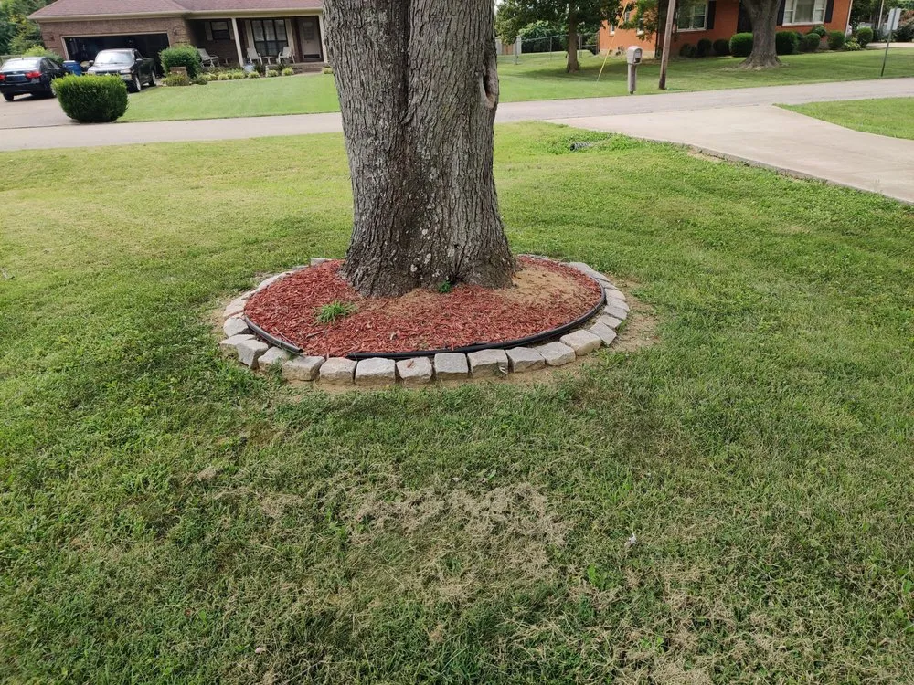 Professional landscape installation near you in Taylorsville, KY by Phoenix Property Solutions