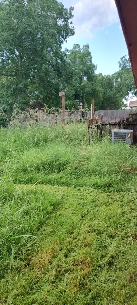 Reliable garden landscaping near you in Marrero, LA by Phoenix Rising