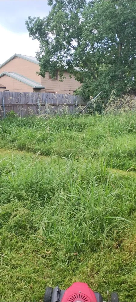 Affordable landscape installation with custom design across Marrero, LA - Phoenix Rising