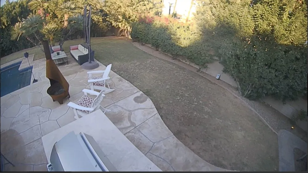 Custom yard cleanup service experts serving Phoenix, AZ - Phoenix Tree and Landscape