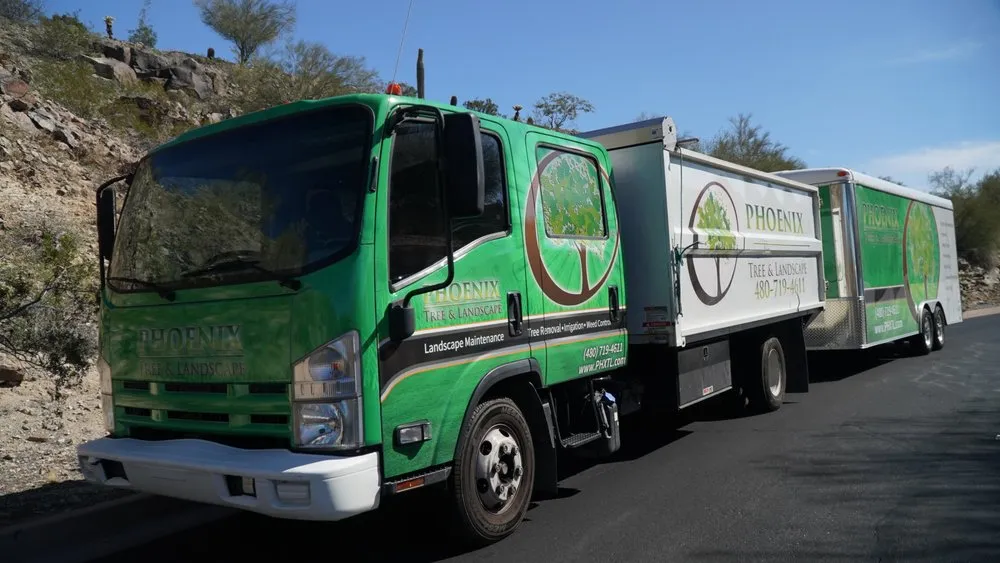 Affordable yard cleanup service in Phoenix, AZ - Phoenix Tree and Landscape