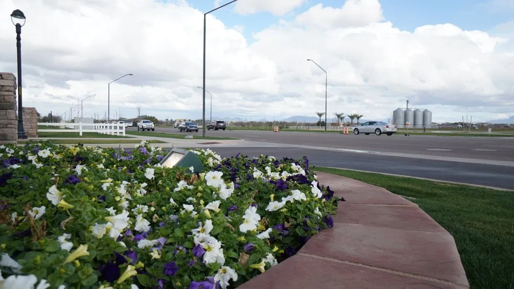 Custom landscape design in Phoenix, AZ by Phoenix Tree and Landscape