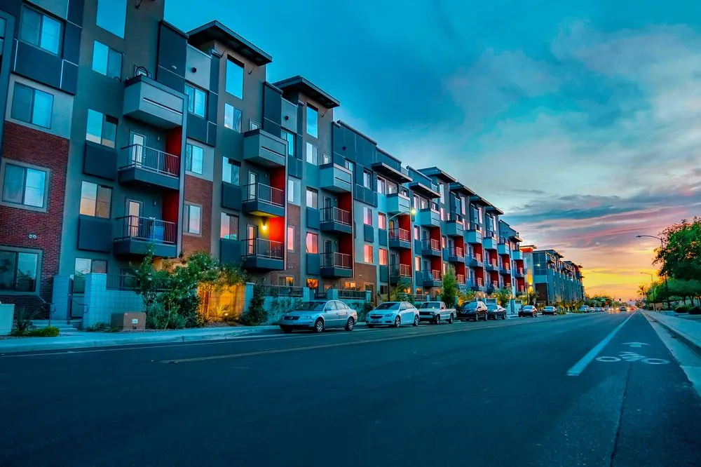 Affordable yard cleanup service in Phoenix, AZ by Phoenix Tree and Landscape