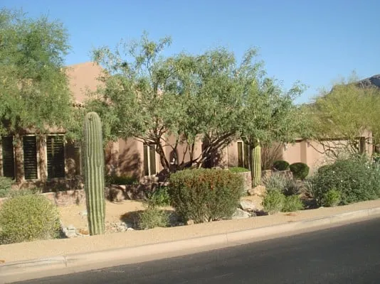 Professional landscape design for beautiful yards across Phoenix, AZ - Phoenix Tree and Landscape