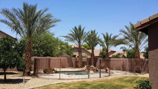 Expert landscape design for year-round maintenance across Phoenix, AZ - Phoenix Tree and Landscape