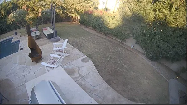 Phoenix Tree and Landscape Logo