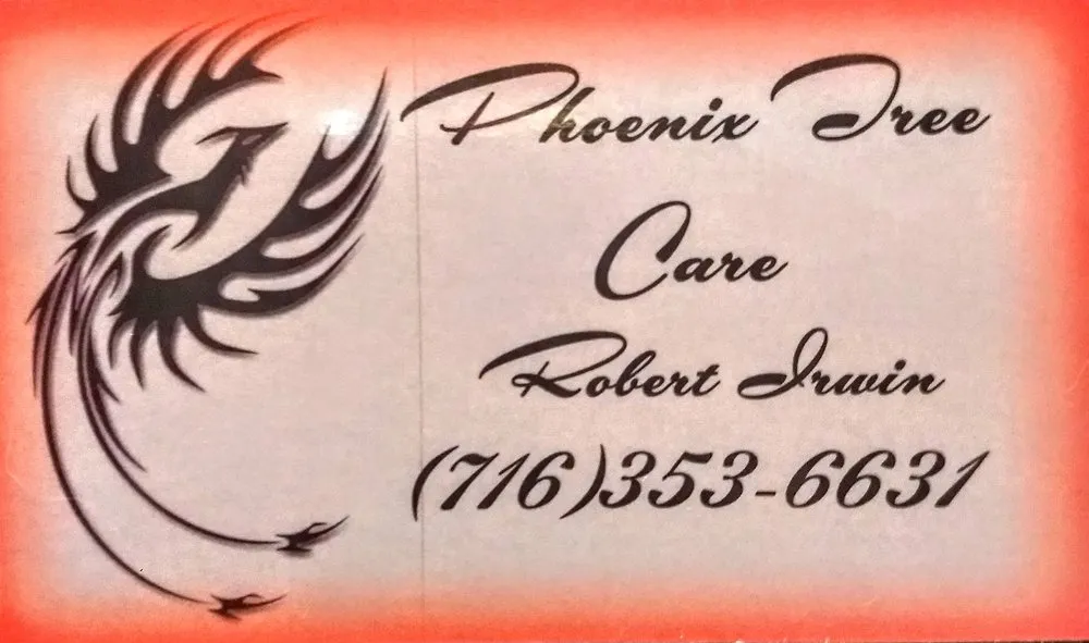 Trusted yard maintenance near you across Franklinville, NY - Phoenix Tree Care