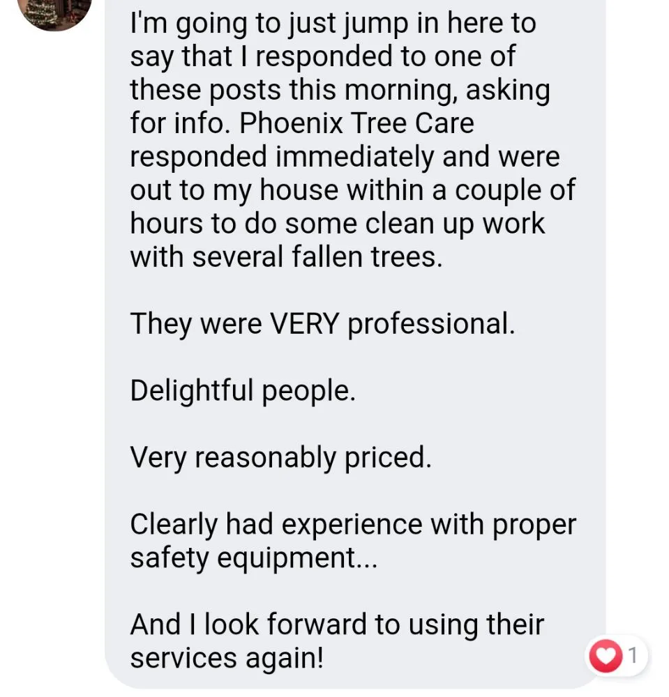 Professional landscape installation in Franklinville, NY by Phoenix Tree Care